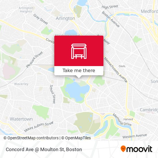 Concord Ave @ Moulton St map