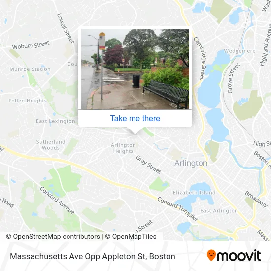 Massachusetts Ave Opp Appleton St map