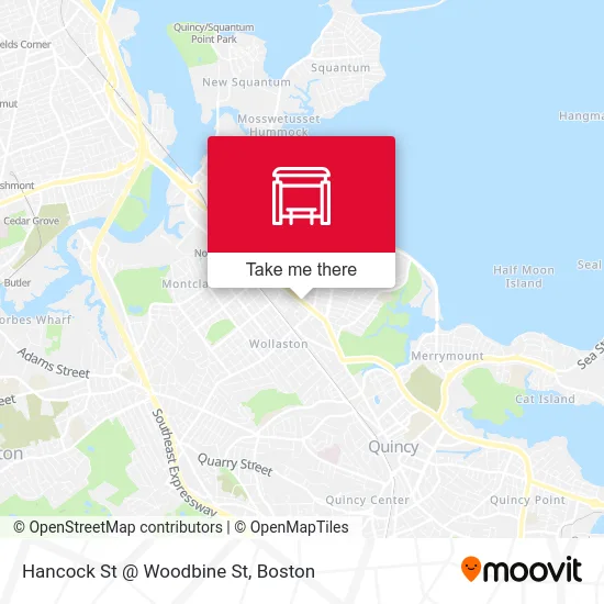 Hancock St @ Woodbine St map