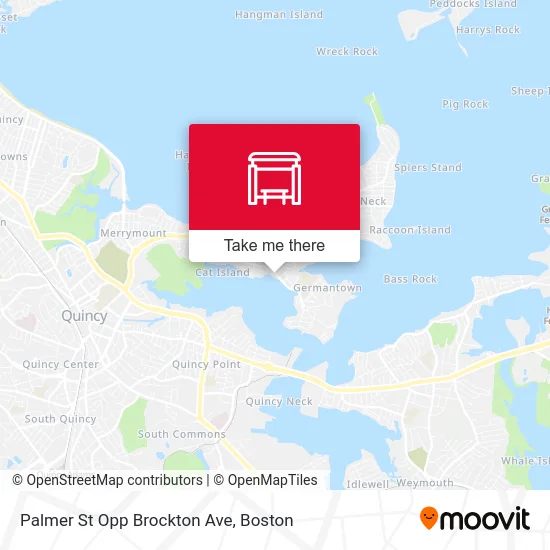 Palmer St Opp Brockton Ave map