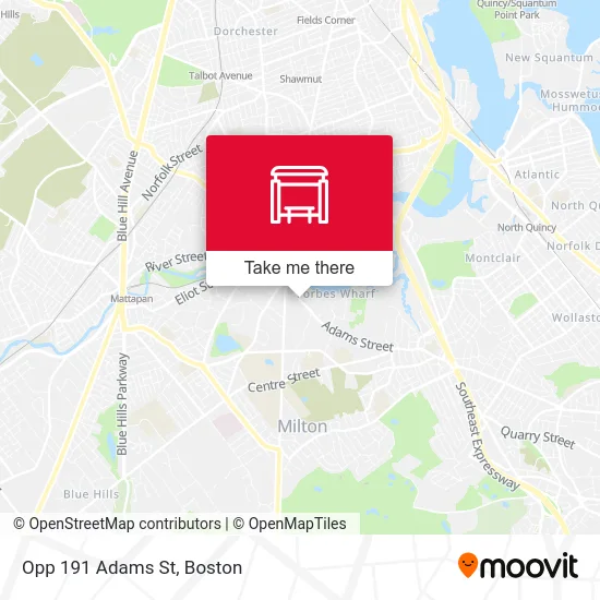 Opp 191 Adams St map