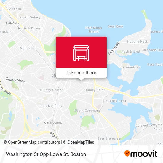 Washington St Opp Lowe St map