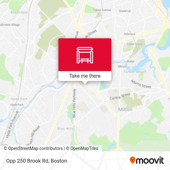 Opp 250 Brook Rd map