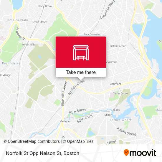 Norfolk St Opp Nelson St map