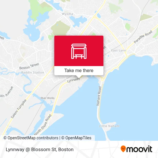 Lynnway @ Blossom St map