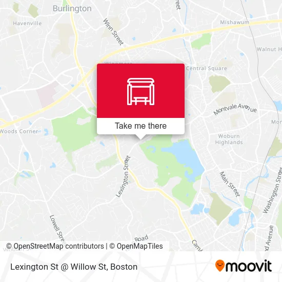 Lexington St @ Willow St map