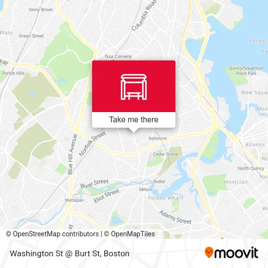 Washington St @ Burt St map