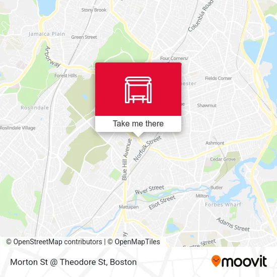 Morton St @ Theodore St map