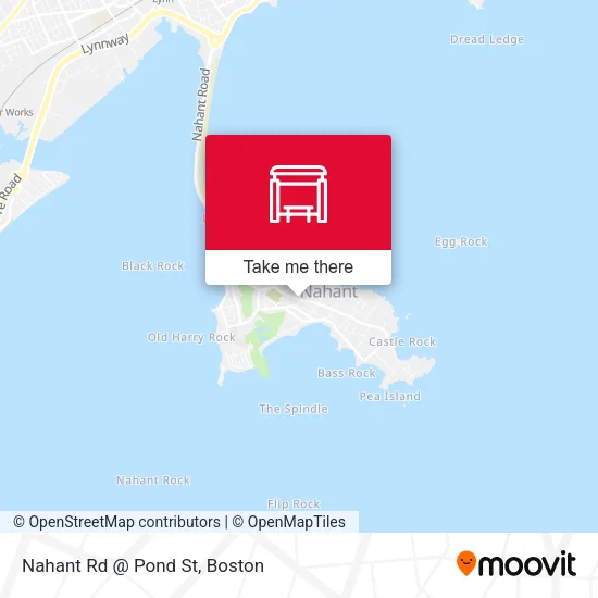 Nahant Rd @ Pond St map