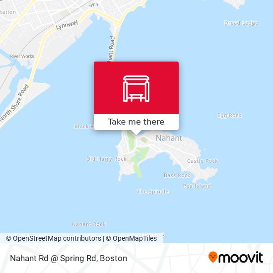 Nahant Rd @ Spring Rd map