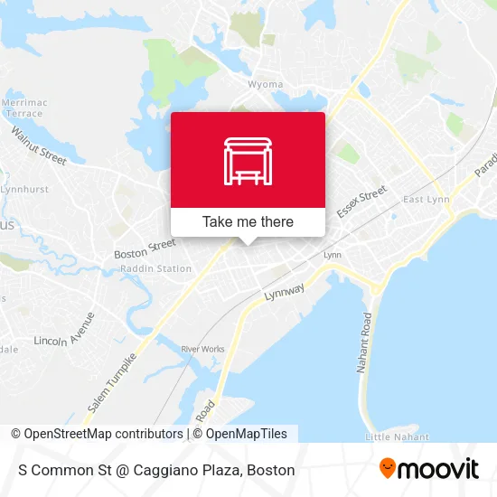 Mapa de S Common St @ Caggiano Plaza