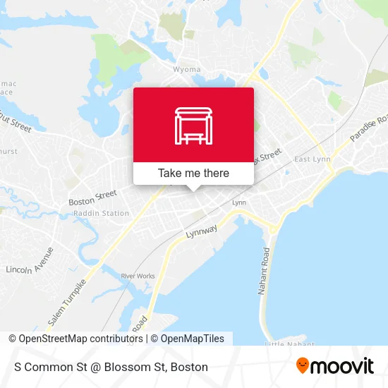 Mapa de S Common St @ Blossom St