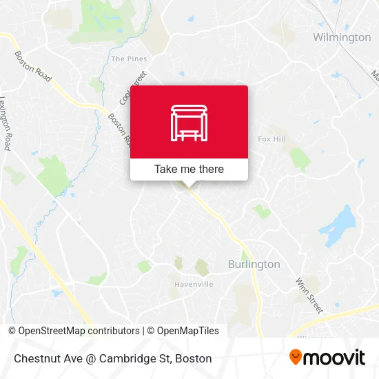 Mapa de Chestnut Ave @ Cambridge St
