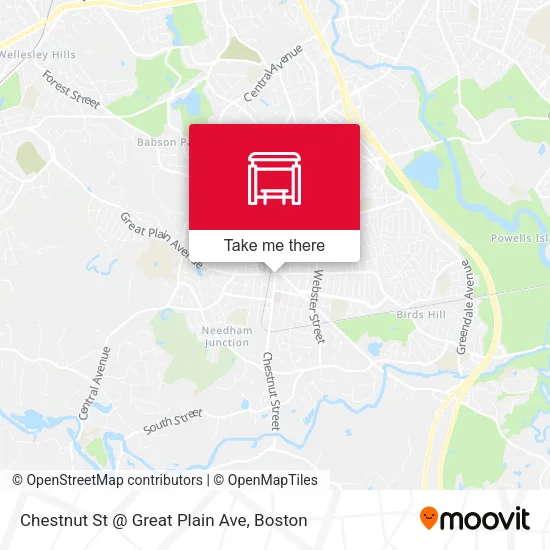Chestnut St @ Great Plain Ave map