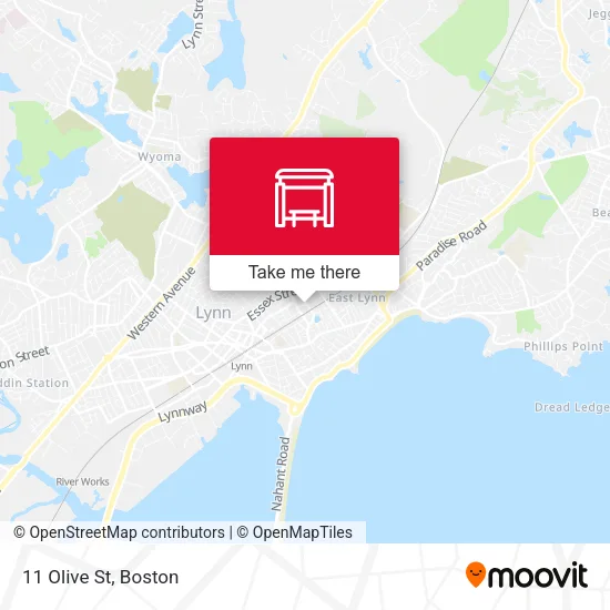 11 Olive St map