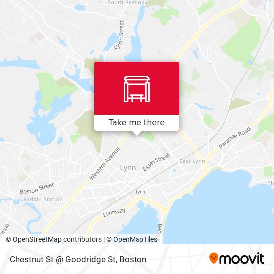 Mapa de Chestnut St @ Goodridge St