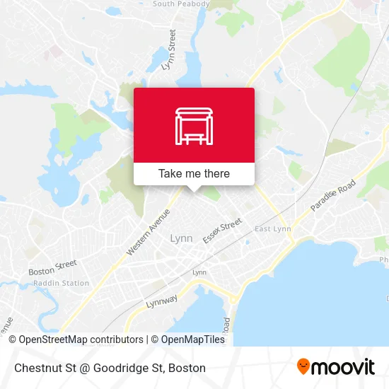 Chestnut St @ Goodridge St map