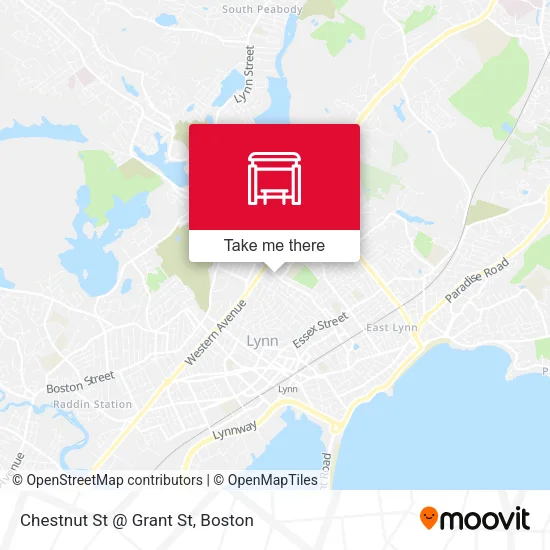 Chestnut St @ Grant St map