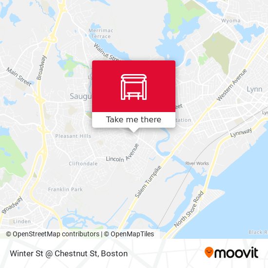 Winter St @ Chestnut St map