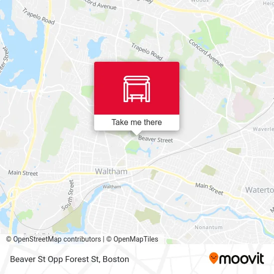 Beaver St Opp Forest St map