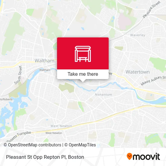Pleasant St Opp Repton Pl map