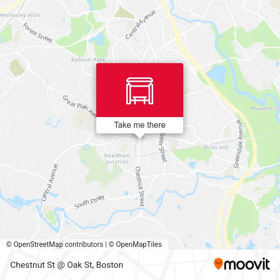 Chestnut St @ Oak St map