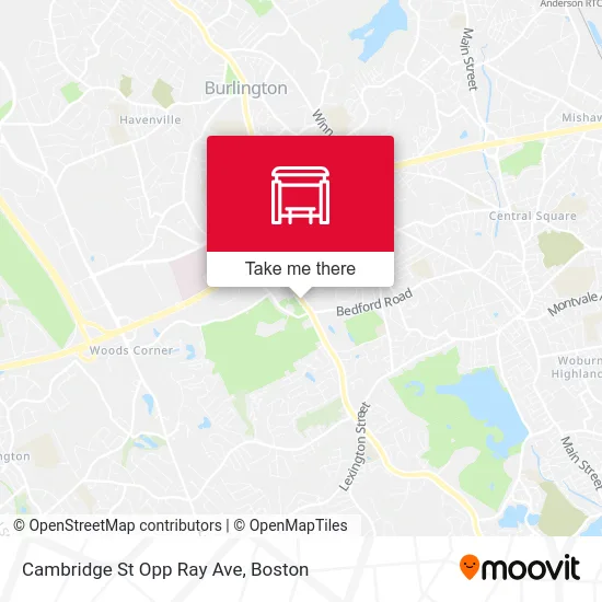 Cambridge St Opp Ray Ave map