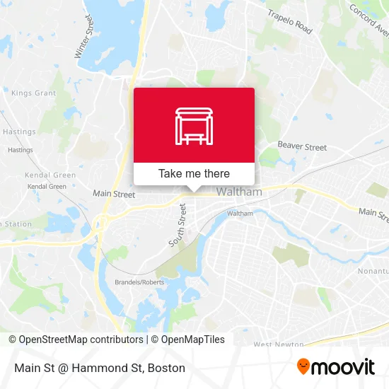 Main St @ Hammond St map