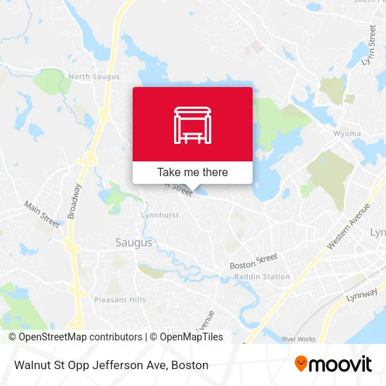 Walnut St Opp Jefferson Ave map