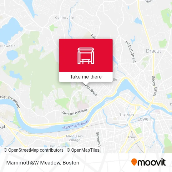 Mammoth&W Meadow map