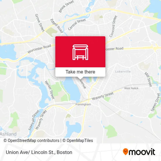 Union Ave/ Lincoln St. map