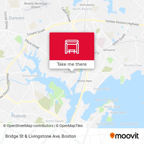 Bridge St & Livingstone Ave map