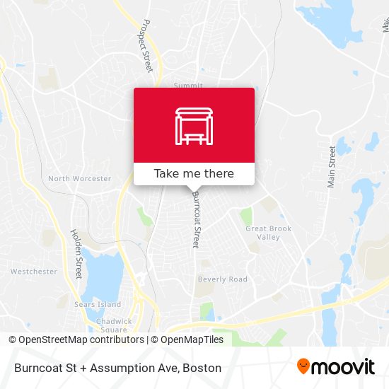 Burncoat St + Assumption Ave map