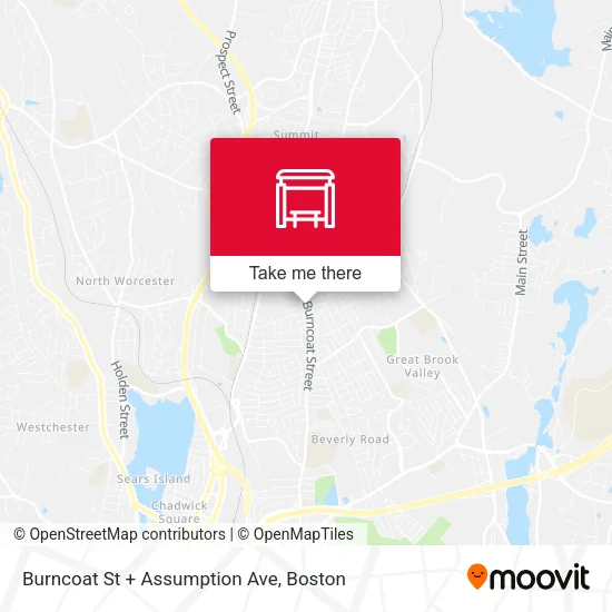 Burncoat St + Assumption Ave map
