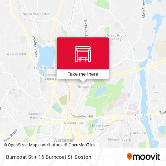 Burncoat St + 16 Burncoat St map