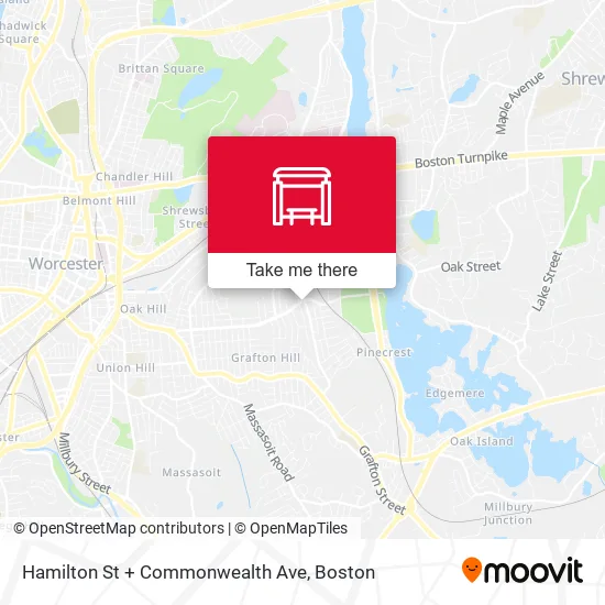 Hamilton St + Commonwealth Ave map