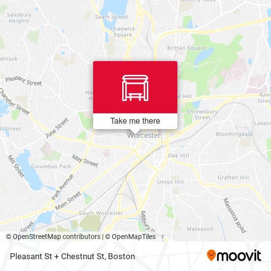 Pleasant St + Chestnut St map