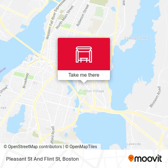 Pleasant St And Flint St map