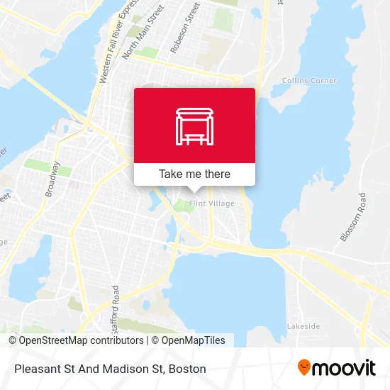 Pleasant St And Madison St map