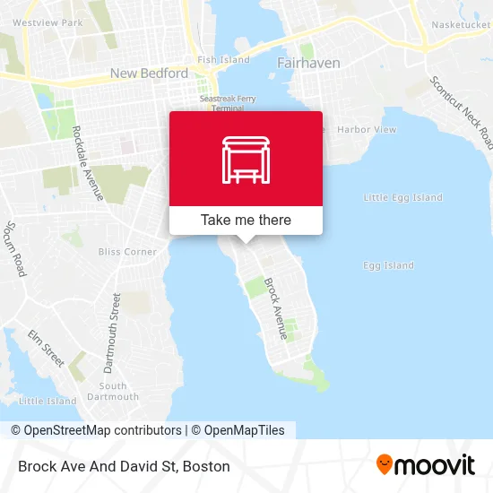 Brock Ave And David St map