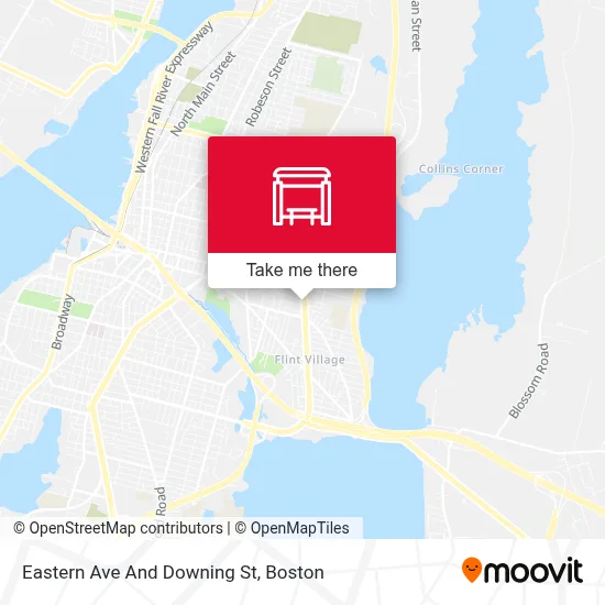 Eastern Ave And Downing St map