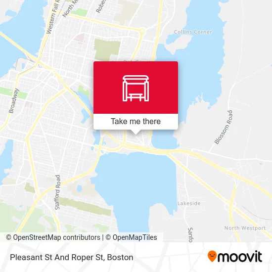 Pleasant St And Roper St map