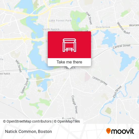 Natick Common map