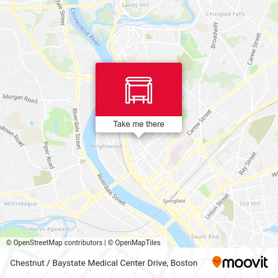Chestnut / Baystate Medical Center Drive map
