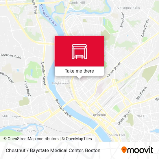 Chestnut / Baystate Medical Center map