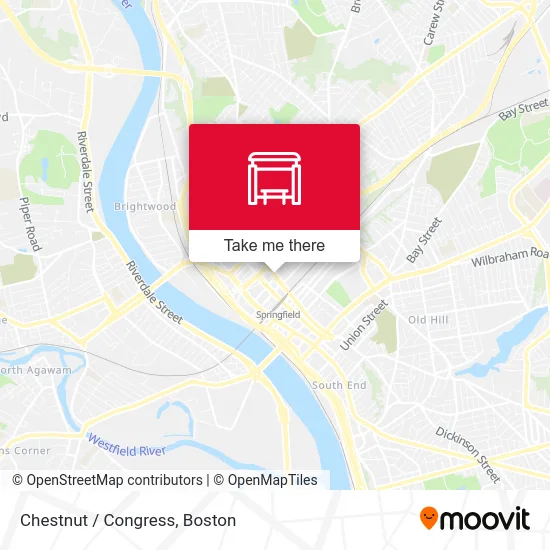 Chestnut / Congress map