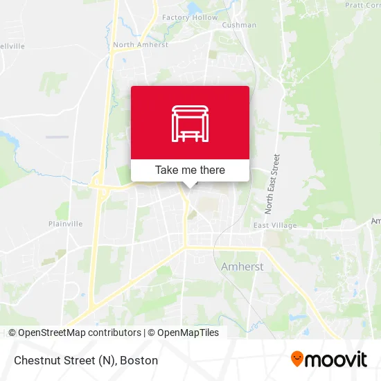 Chestnut Street (N) map