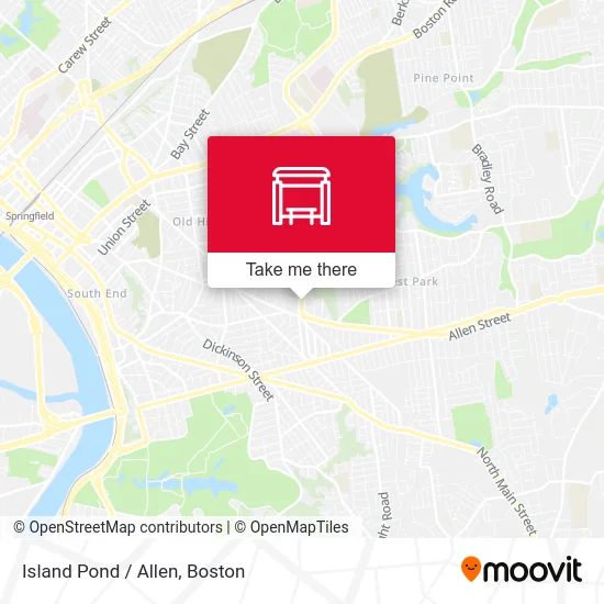 Island Pond / Allen map