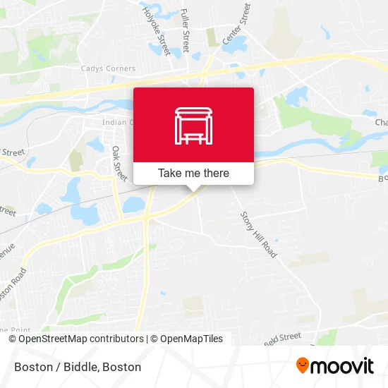 Boston / Biddle map