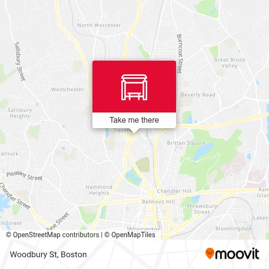 Woodbury St map